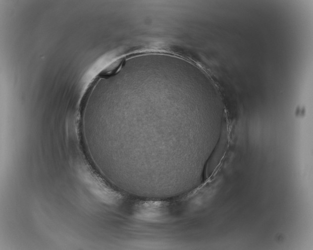 X0000112830152200908211225