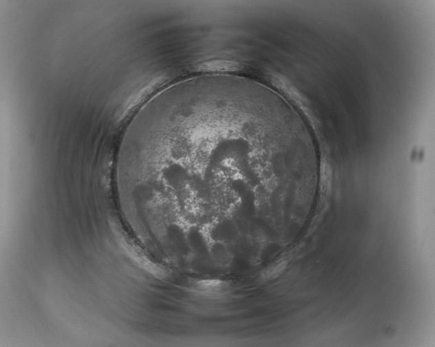 X0000112830153200908211225