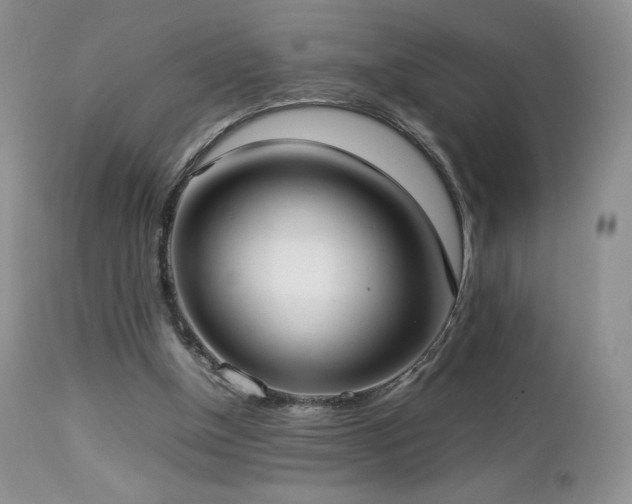 X0000112830154200908211225