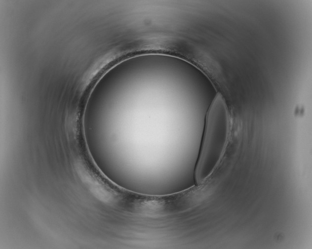 X0000112830156200908211225