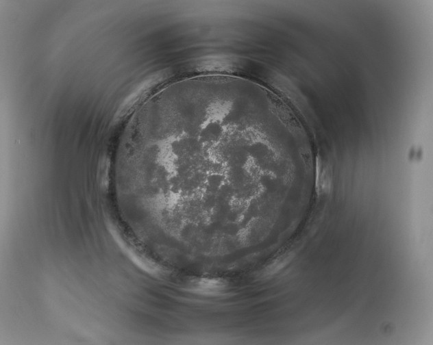 X0000112830157200908211225