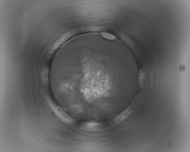 X0000112830158200908211225