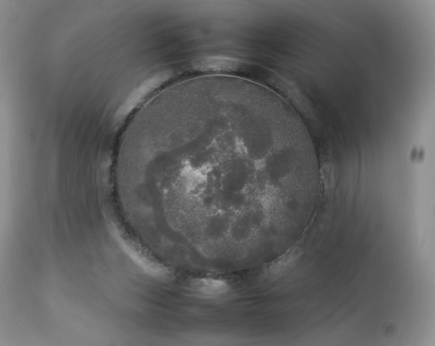 X0000112830159200908211225