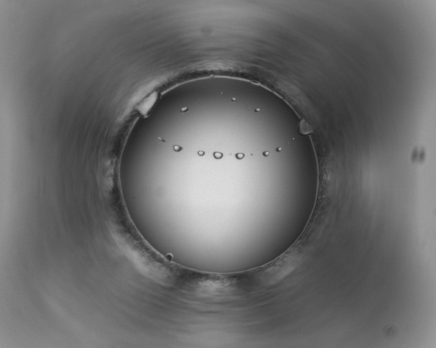 X0000112830160200908211225