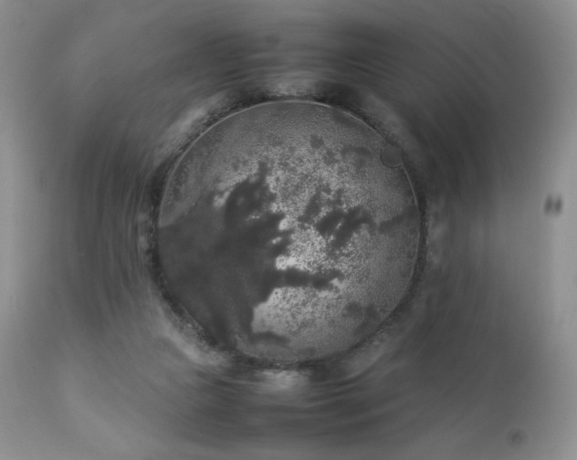 X0000112830161200908211225