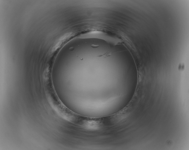 X0000112830163200908211225