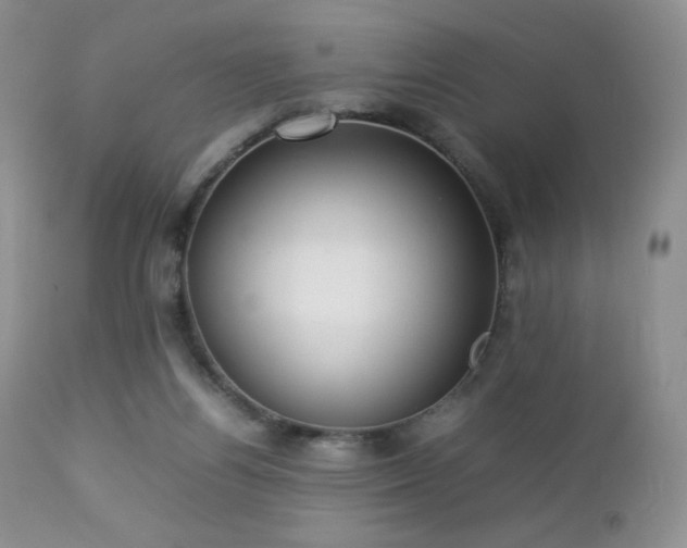 X0000112830164200908211225