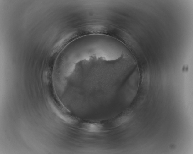 X0000112830165200908211225