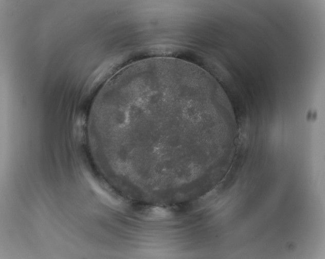 X0000112830166200908211225