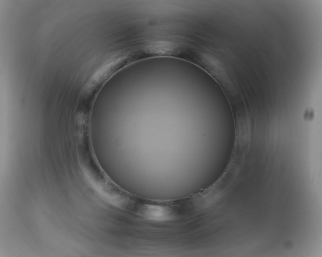 X0000112830167200908211225