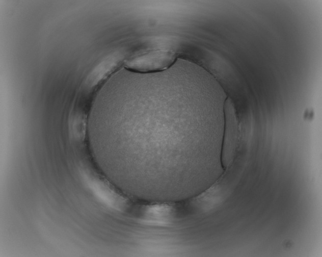 X0000112830168200908211225