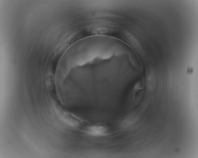 X0000112830169200908211225