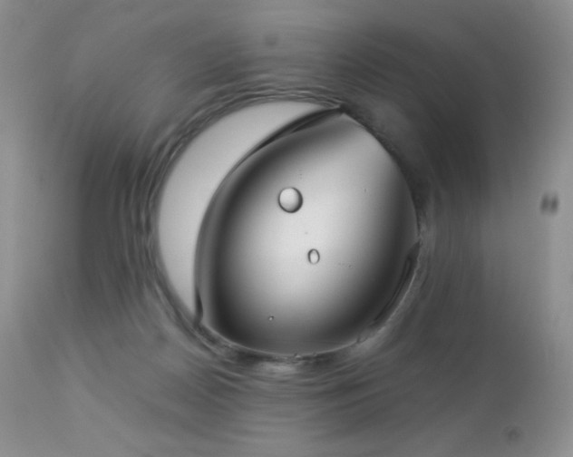 X0000112830170200908211225