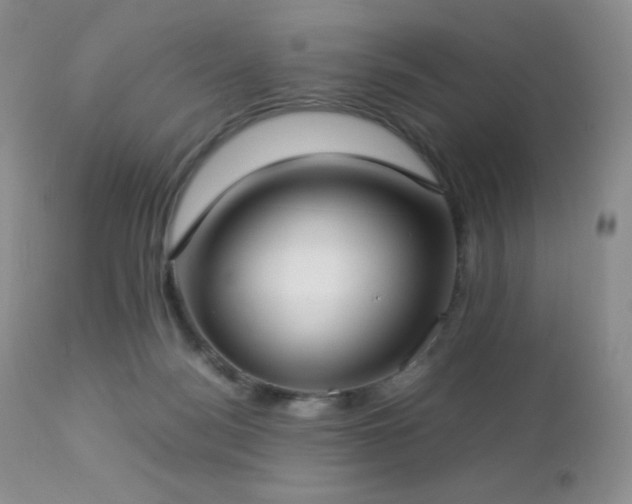 X0000112830172200908211225