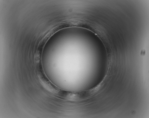 X0000112830174200908211225