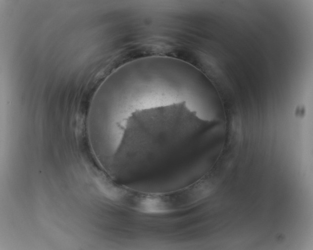 X0000112830177200908211225