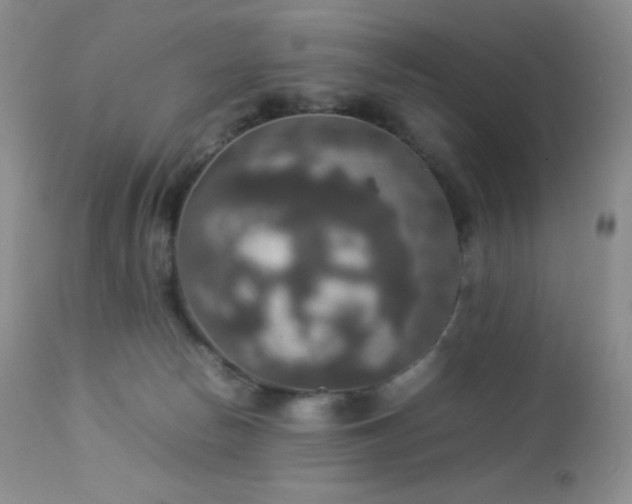 X0000112830178200908211225