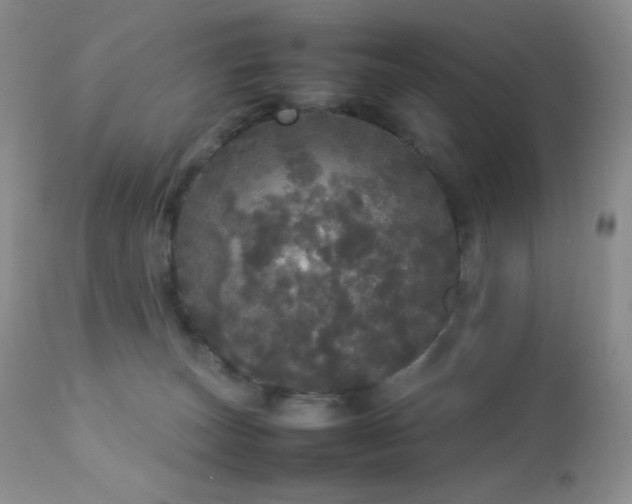 X0000112830179200908211225