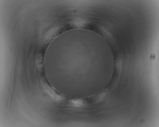 X0000112830181200908211225