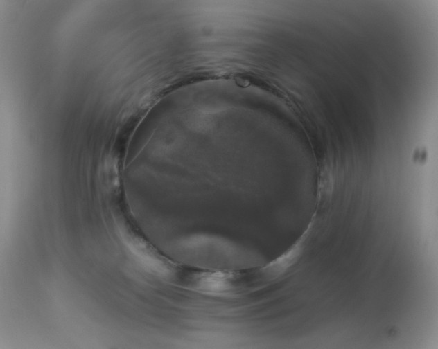 X0000112830182200908211225