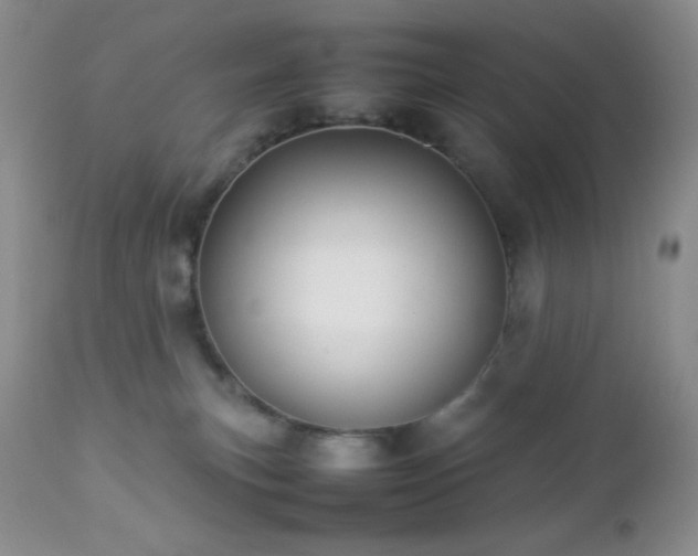 X0000112830183200908211225