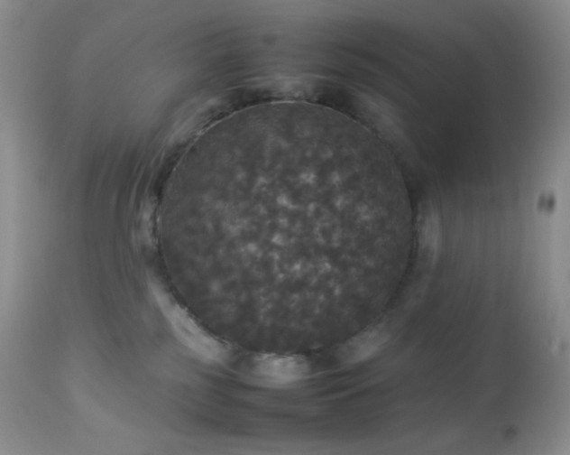 X0000112830185200908211225