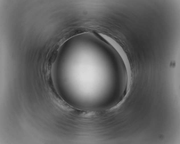 X0000112830186200908211225