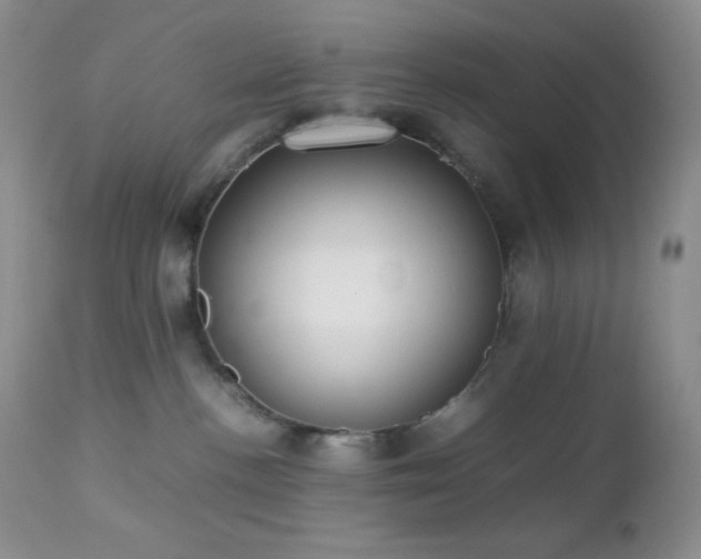 X0000112830188200908211225