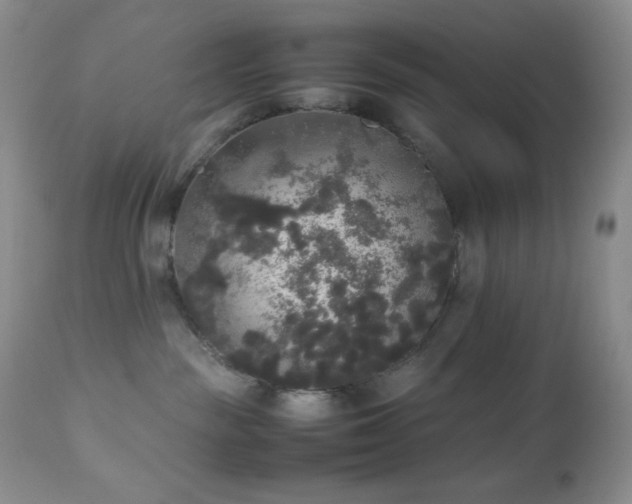 X0000112830189200908211225