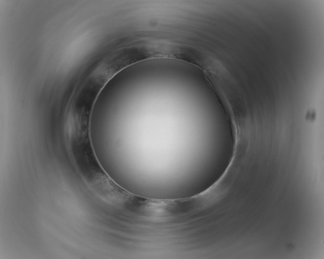 X0000112830190200908211225