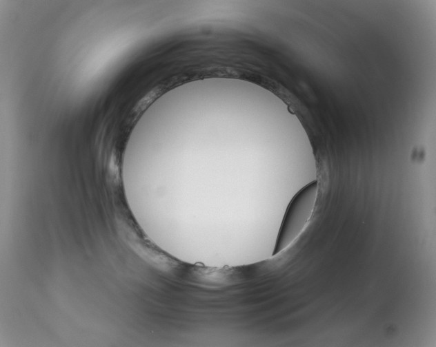 X0000112830191200908211225