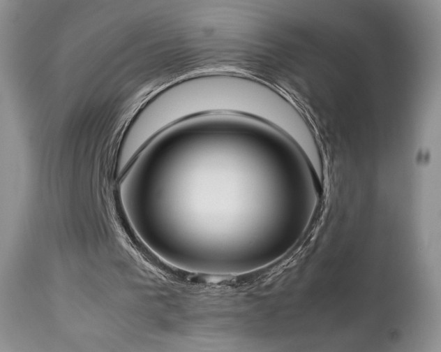 X0000112830193200908211225