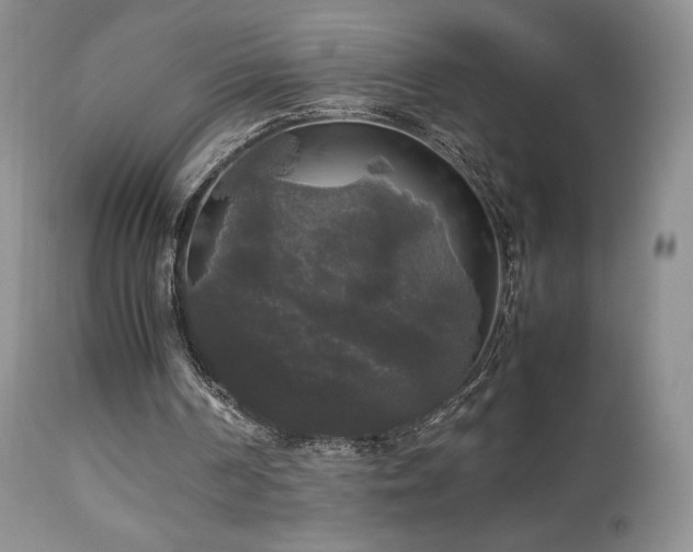 X0000112830194200908211225