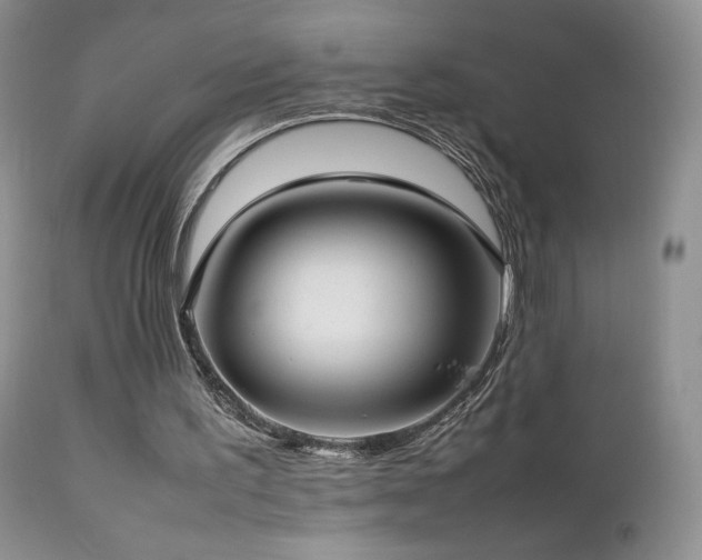 X0000112830195200908211225