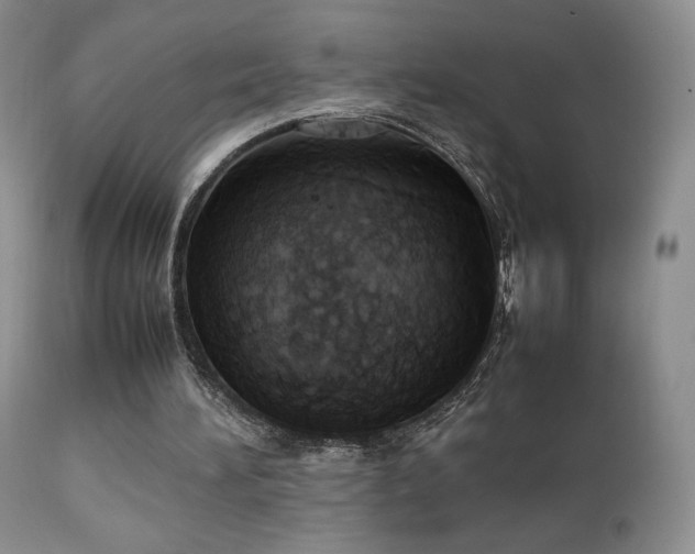 X0000112830196200908211225