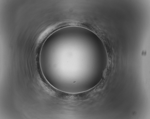 X0000112830197200908211225