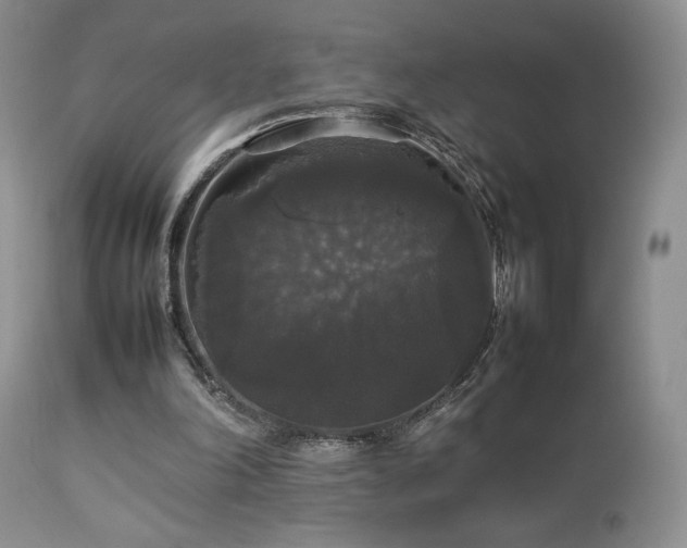 X0000112830198200908211225