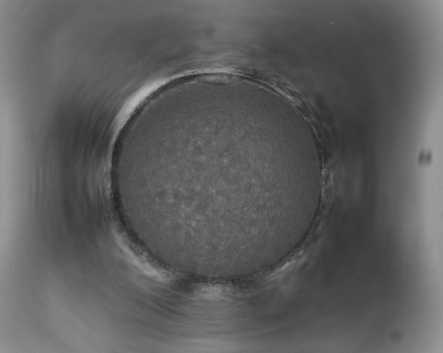 X0000112830200200908211225