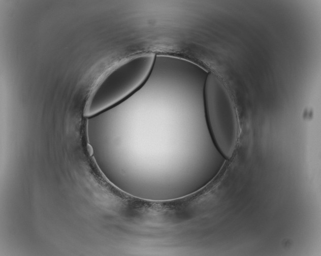 X0000112830201200908211224