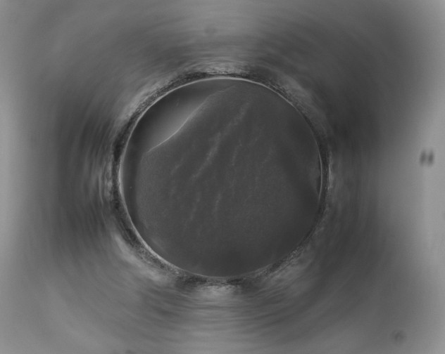 X0000112830202200908211224