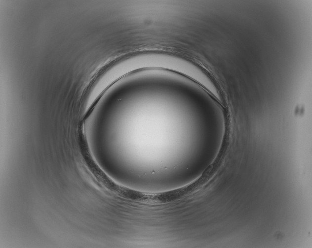 X0000112830203200908211224