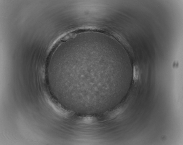 X0000112830204200908211224