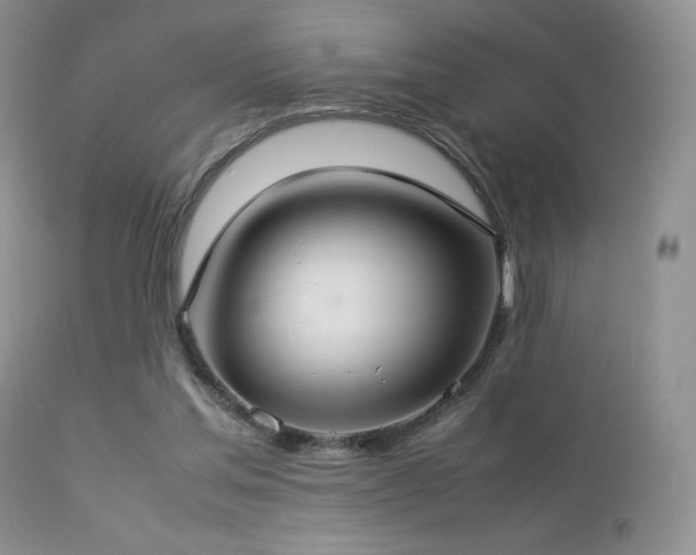 X0000112830205200908211224