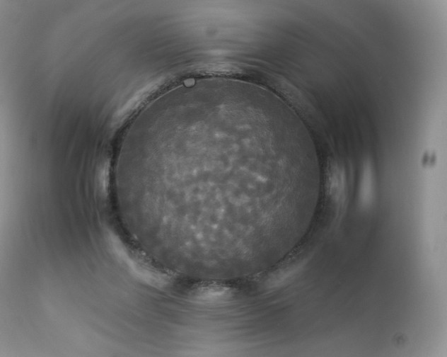 X0000112830206200908211224