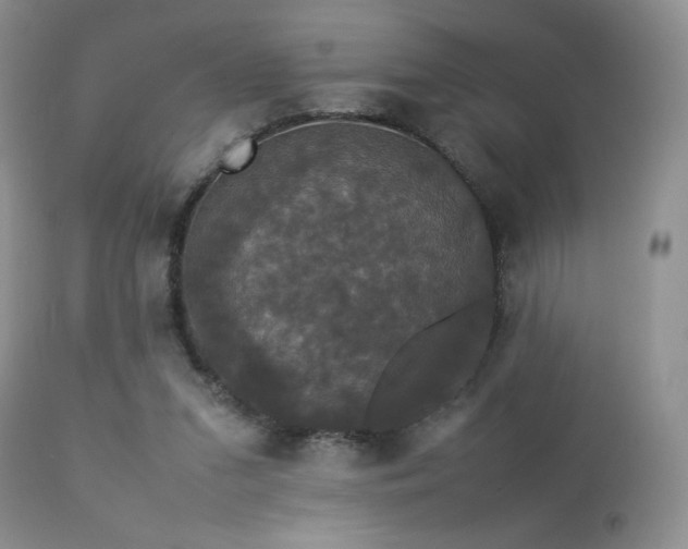 X0000112830207200908211224