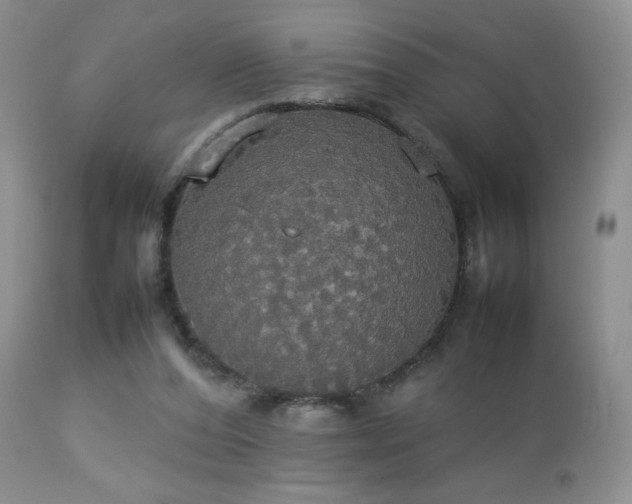 X0000112830208200908211224