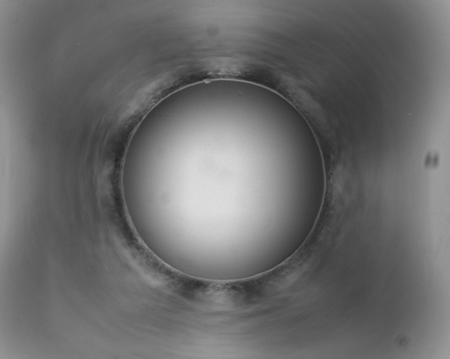 X0000112830209200908211224