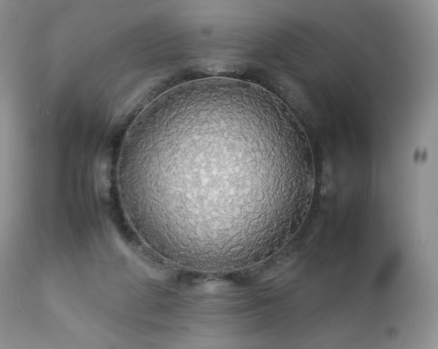 X0000112830210200908211224