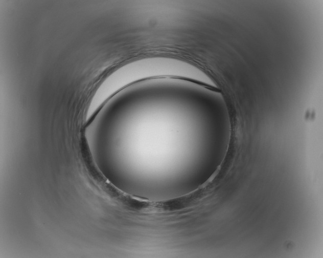 X0000112830211200908211224