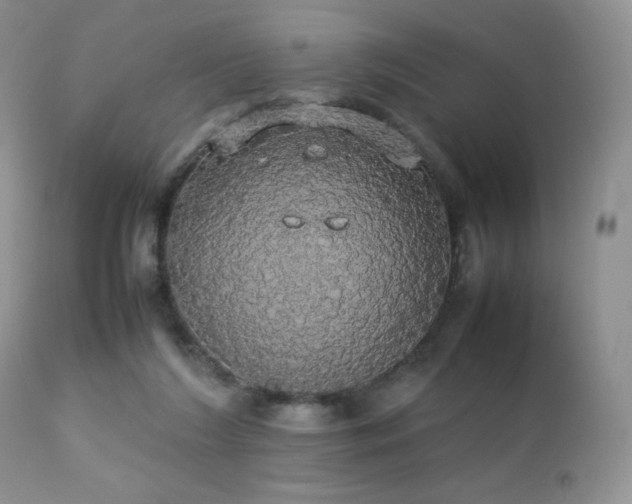 X0000112830212200908211224